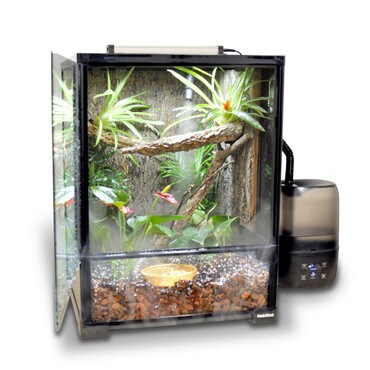 HabiStat Glass Terrarium Set Up